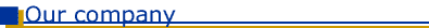 Our Company