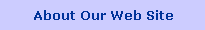 About Our Web Site